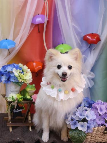 20230603しゅんくん